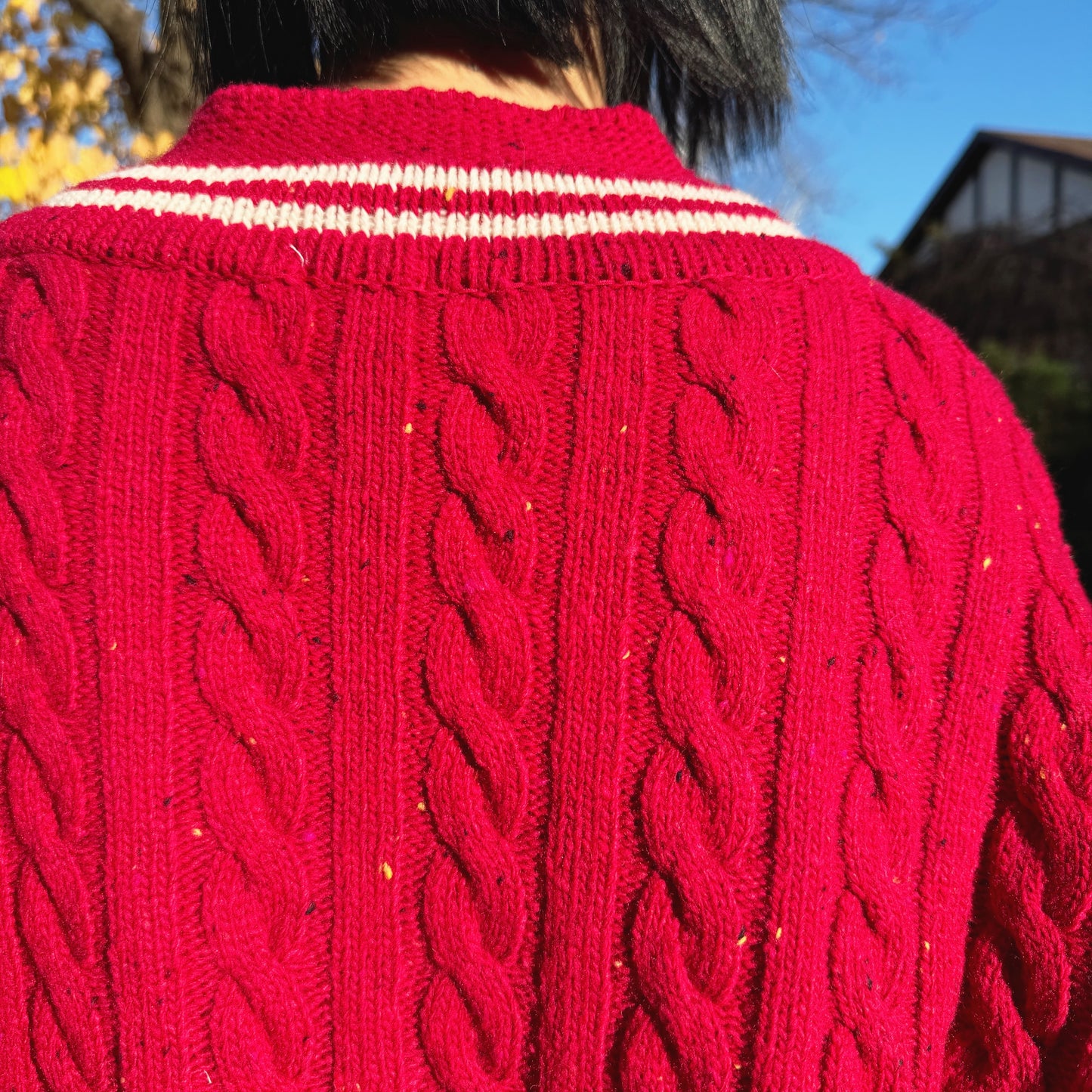 Noel cable knit (blue,red)