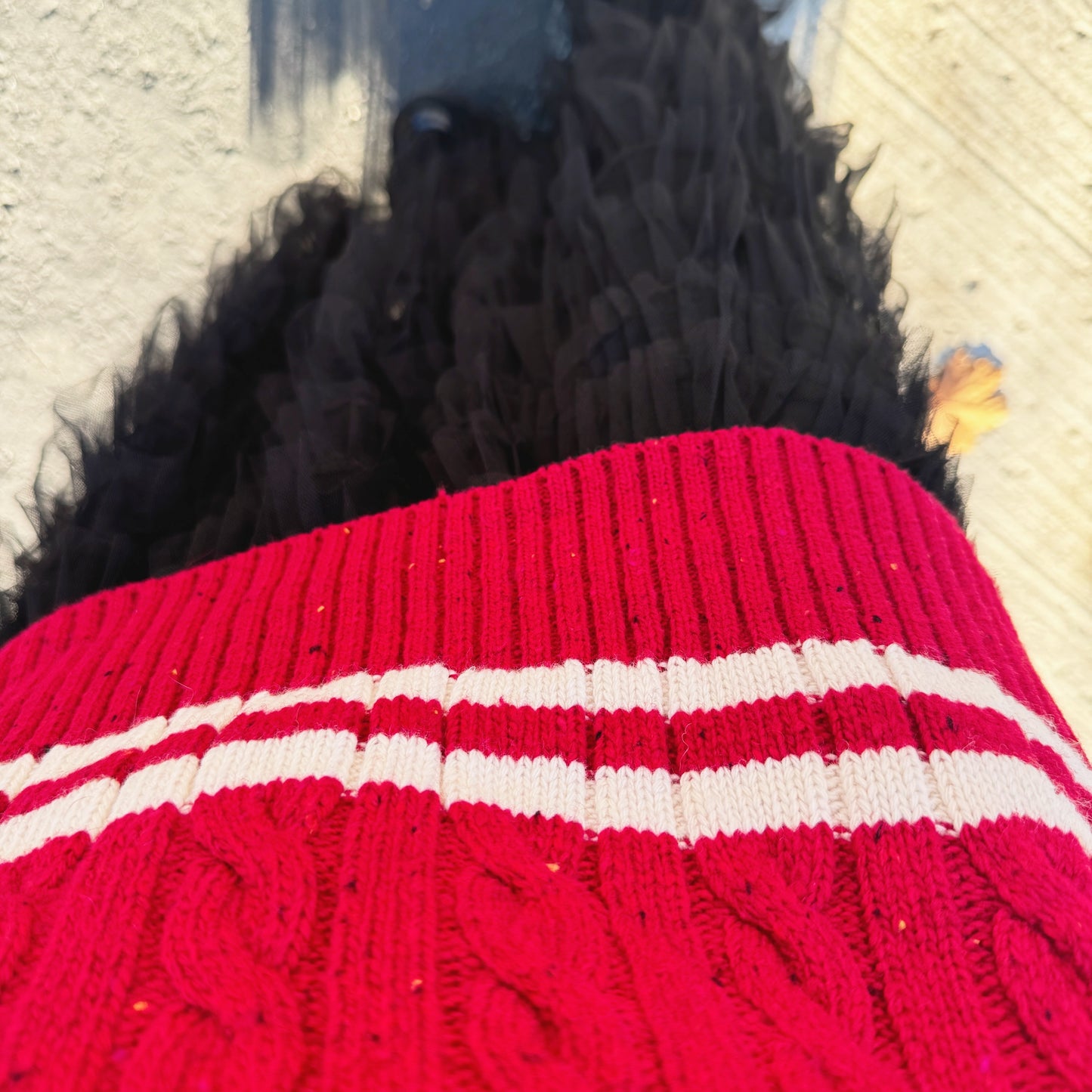 Noel cable knit (blue,red)