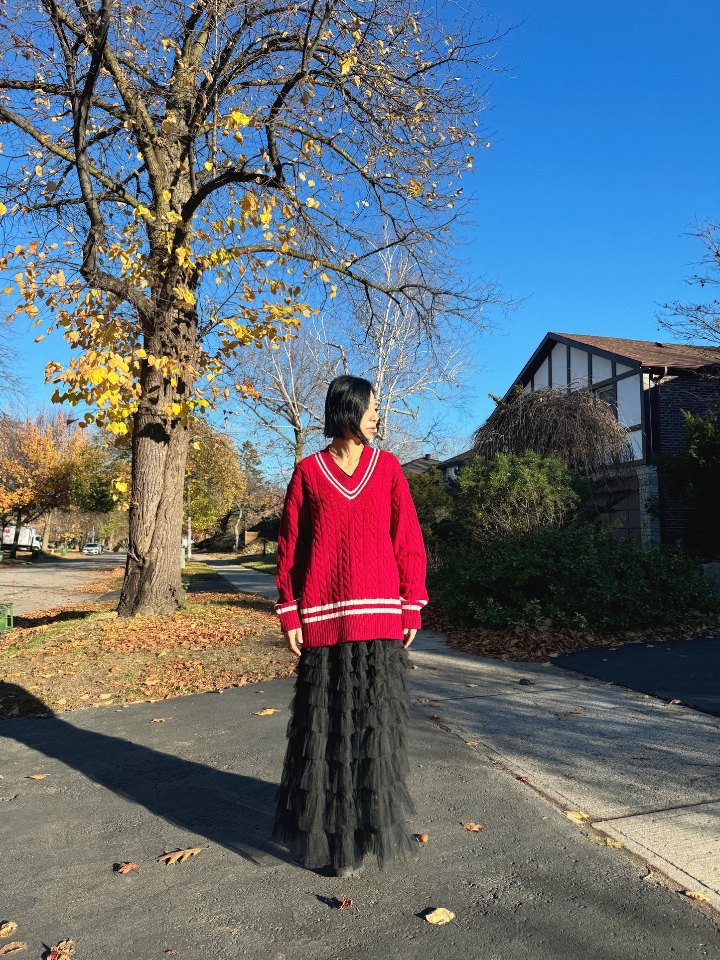 Noel cable knit (blue,red)