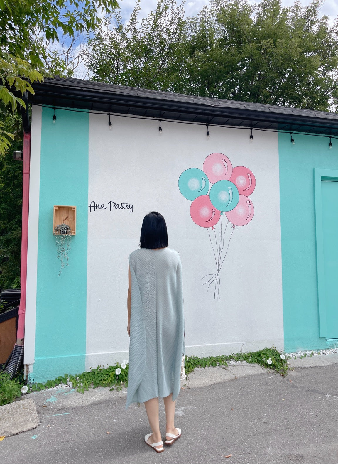 solid dress (black, pastel blue ,pink)
