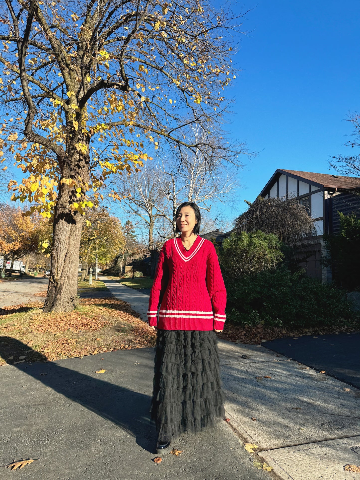 Noel cable knit (blue,red)