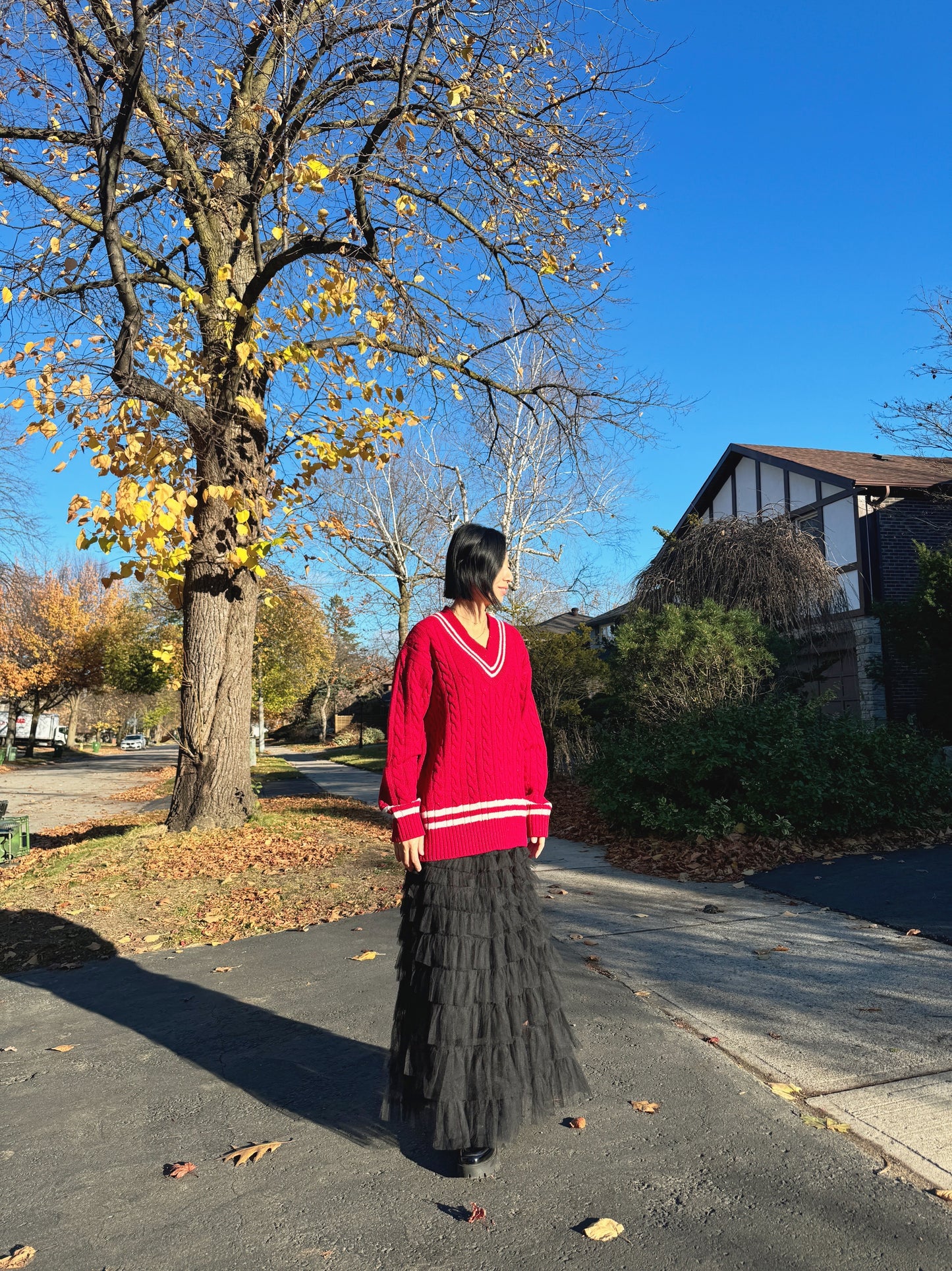 Noel cable knit (blue,red)