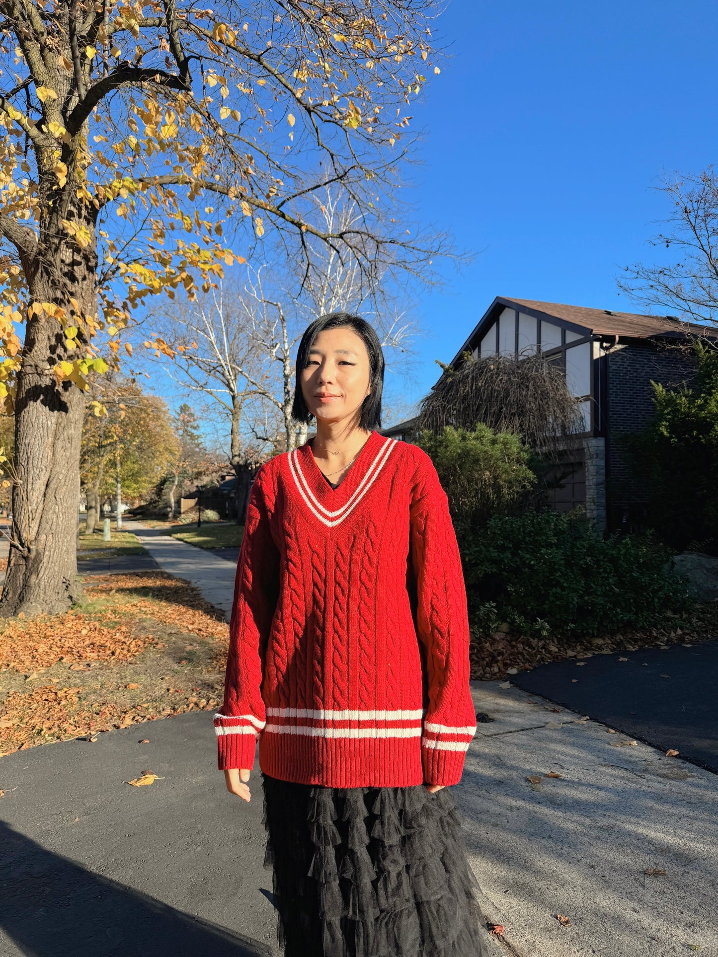 Noel cable knit (blue,red)