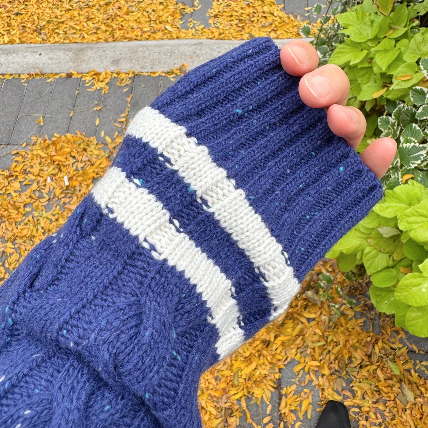 Noel cable knit (blue,red)