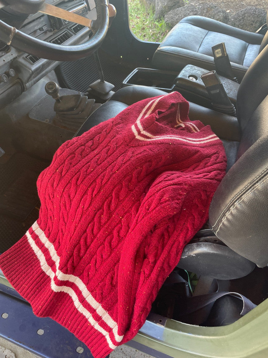 Noel cable knit (blue,red)