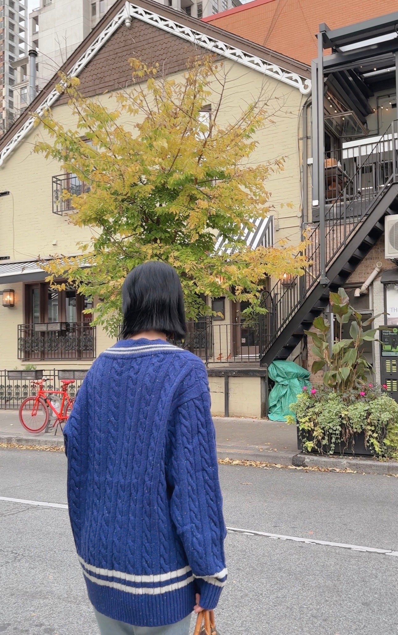 Noel cable knit (blue,red)