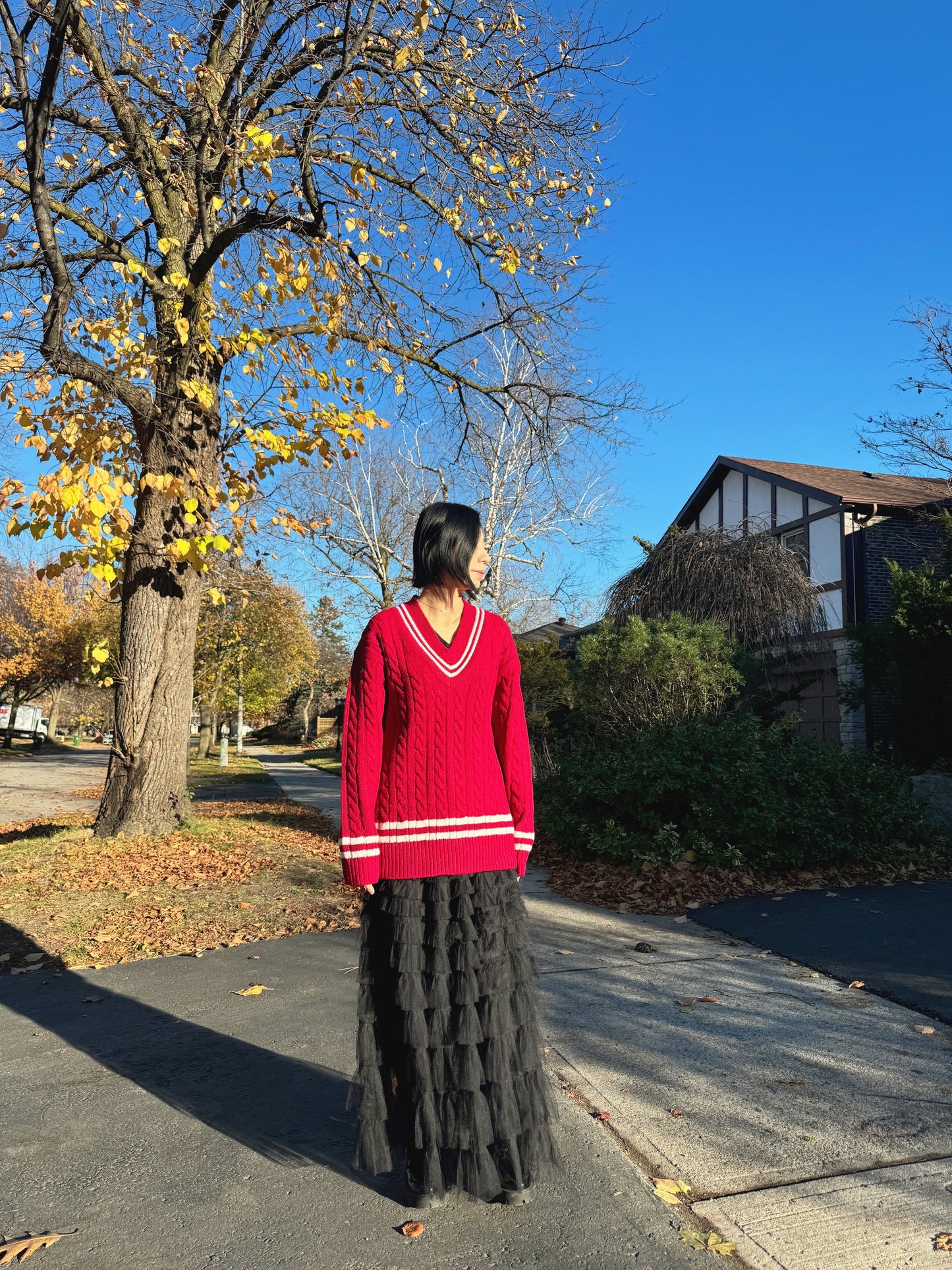 Noel cable knit (blue,red)