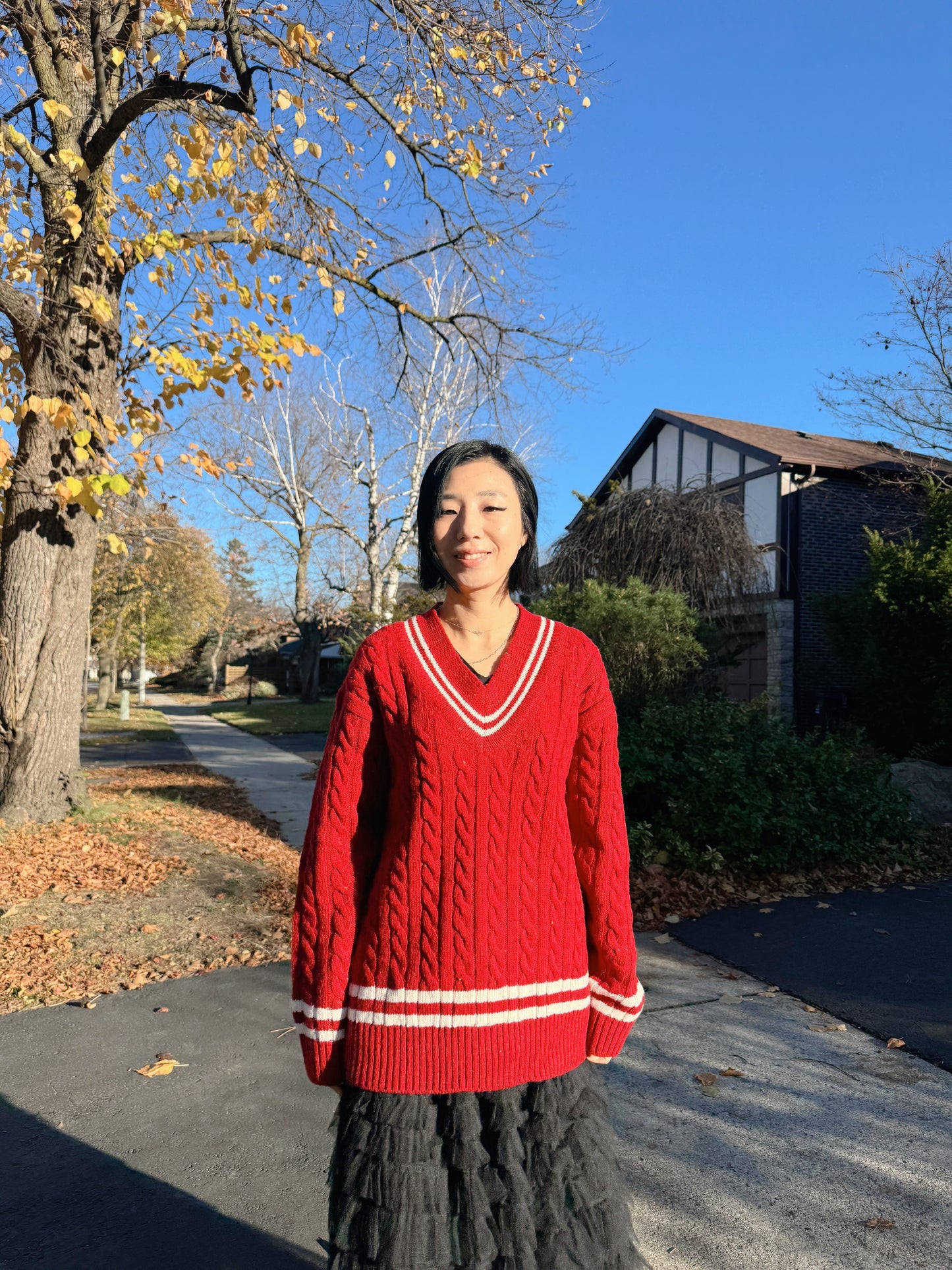 Noel cable knit (blue,red)