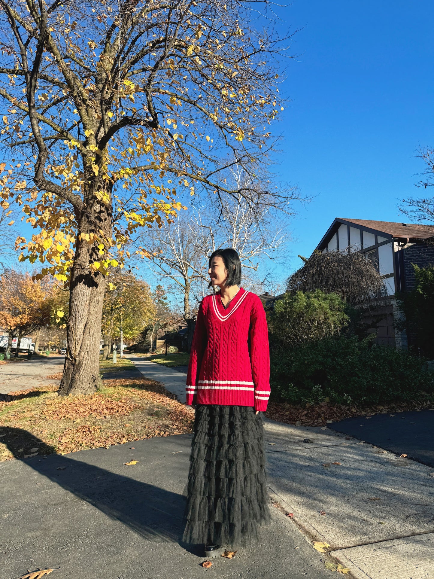 Noel cable knit (blue,red)