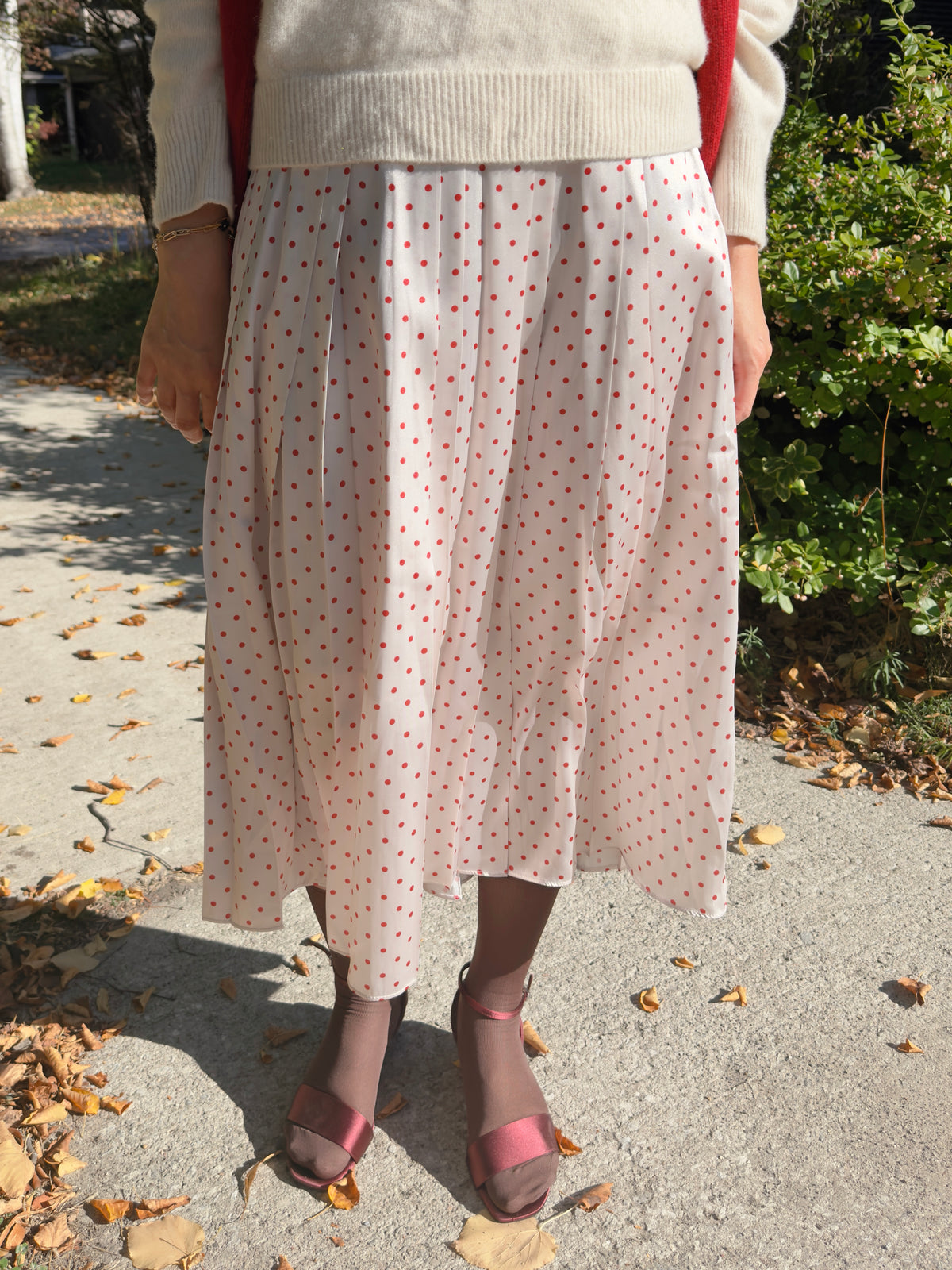 POLKA DOT PLEATS SKIRT(black, brown,red)