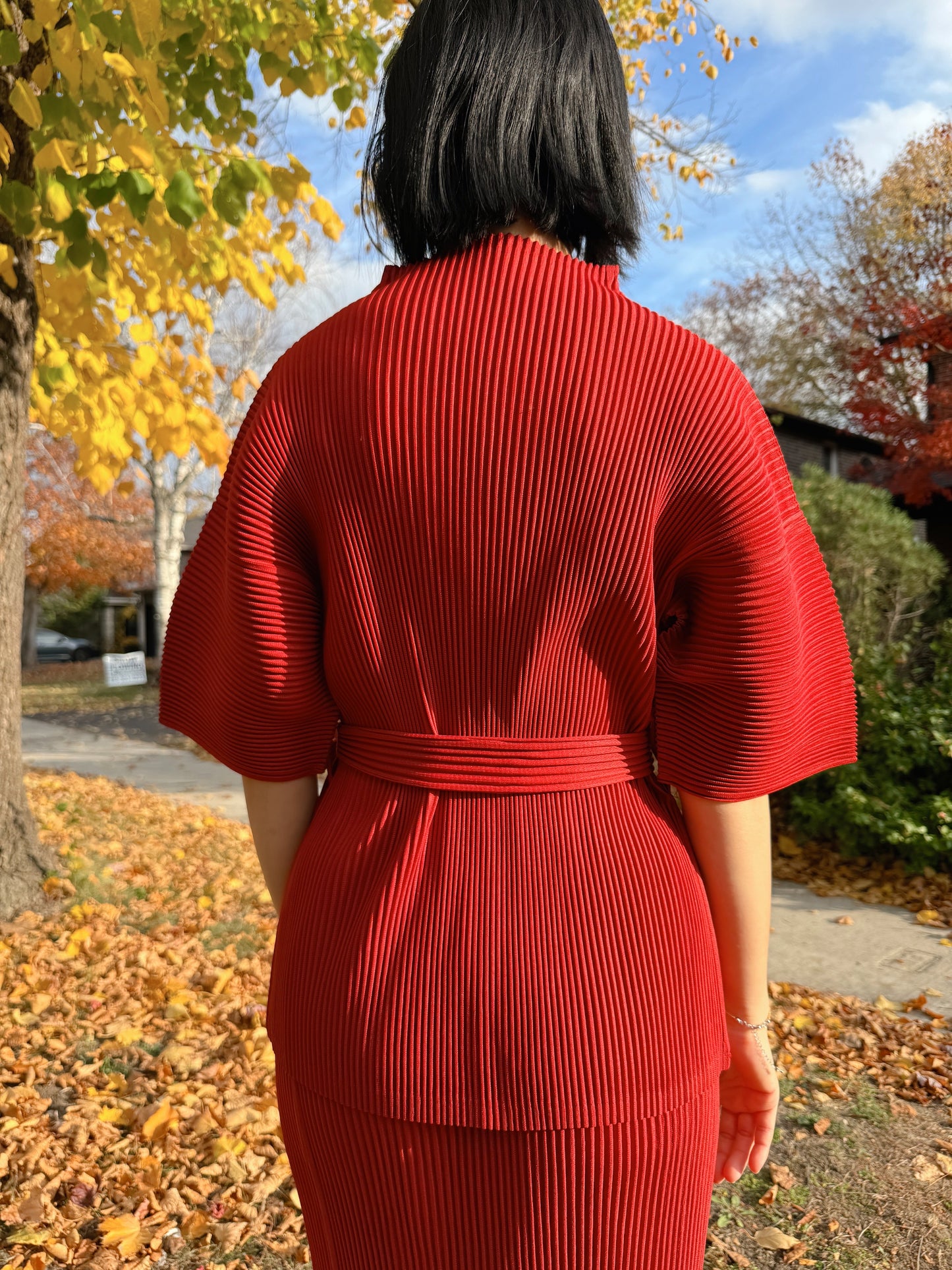 Pleats high neck belted top (brown,red,pink)