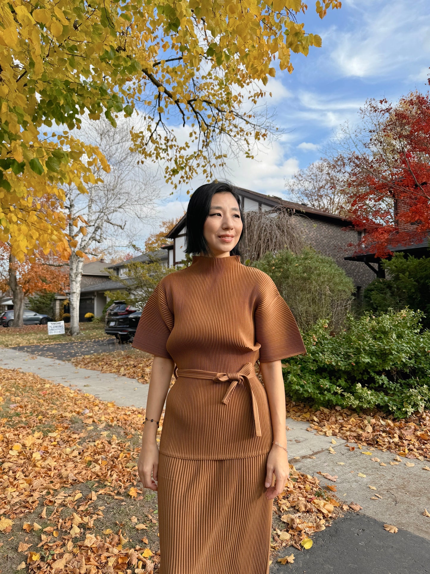 Pleats high neck belted top (brown,red,pink)