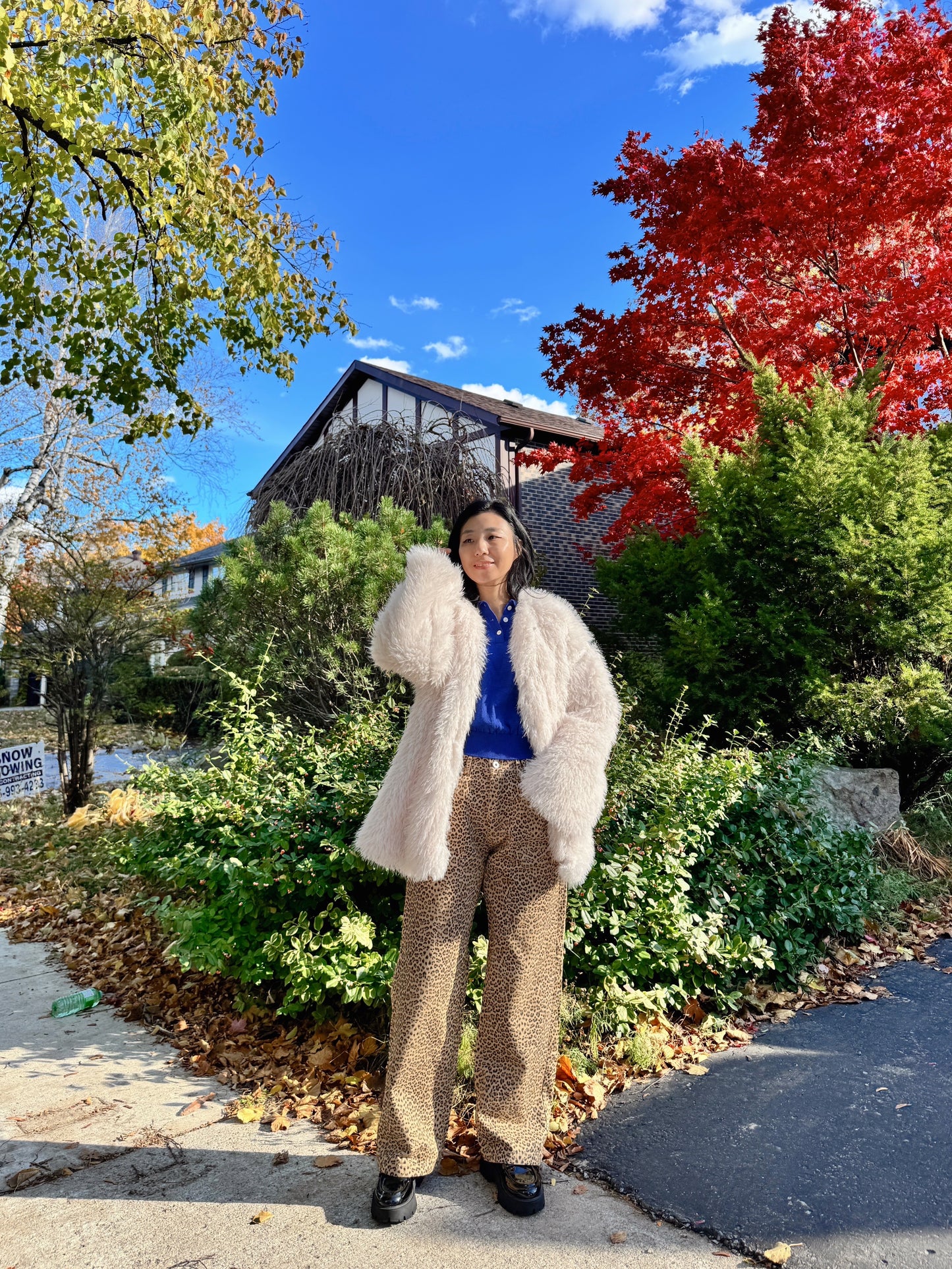 vintage animal print pants (beige,brown)