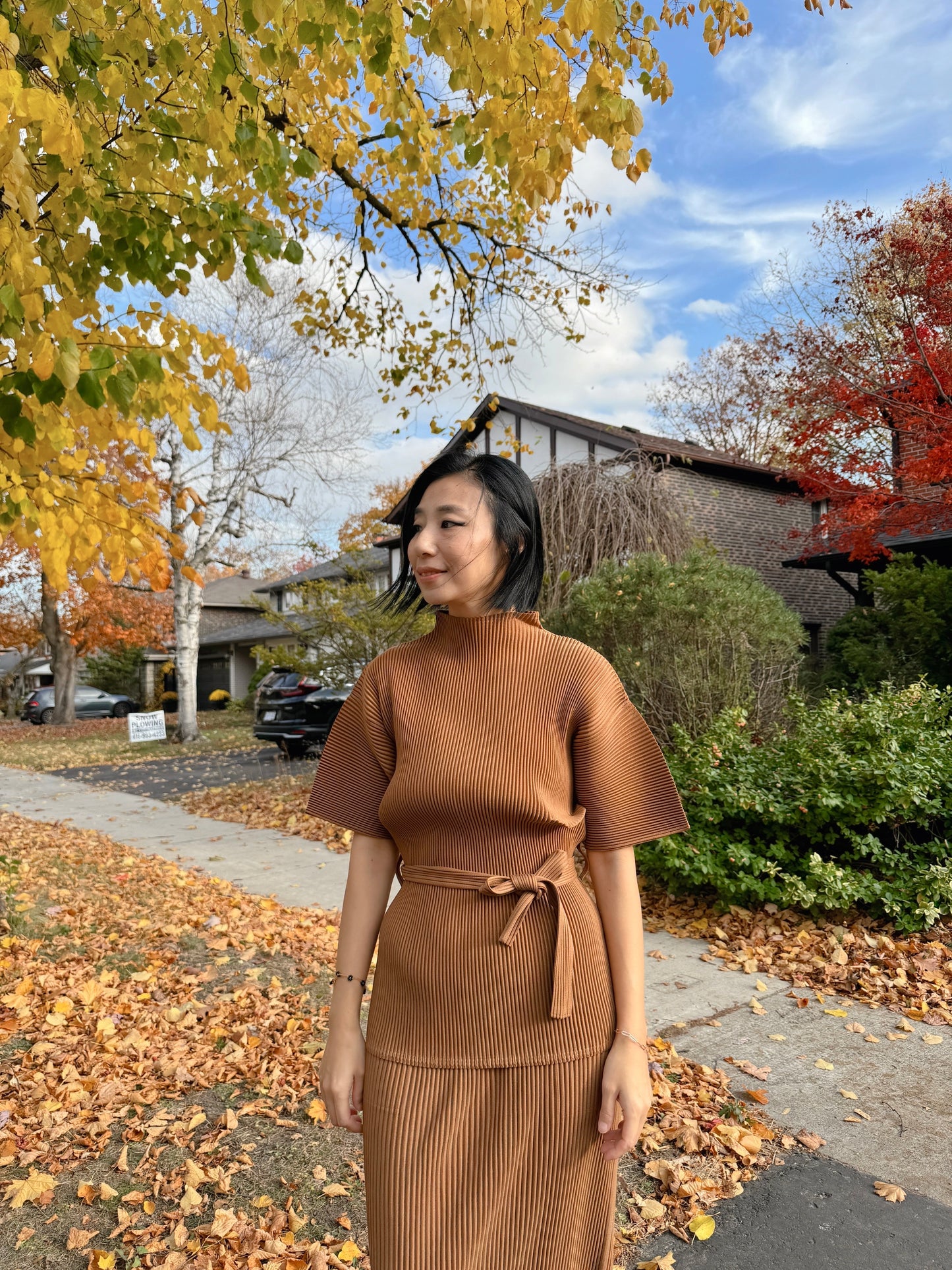 Pleats high neck belted top (brown,red,pink)