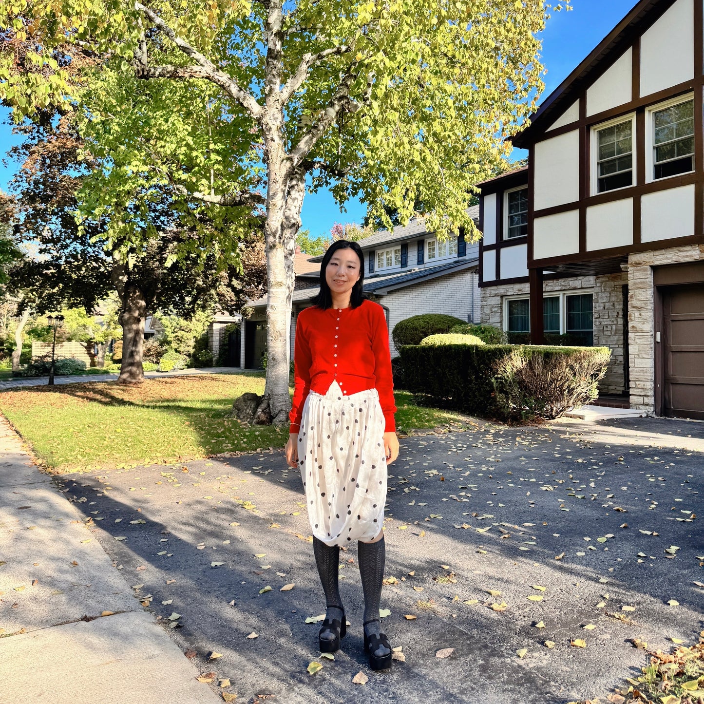 Merino Wool Cardigan (red, gray, pink)