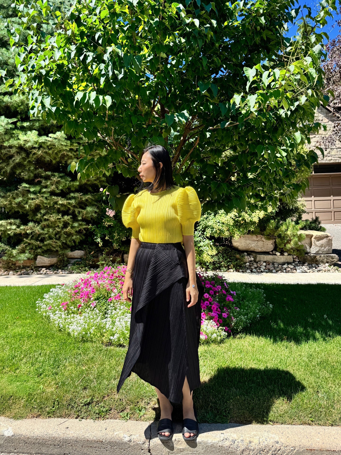 Pleats puff sleeves   (pink,yellow,black)