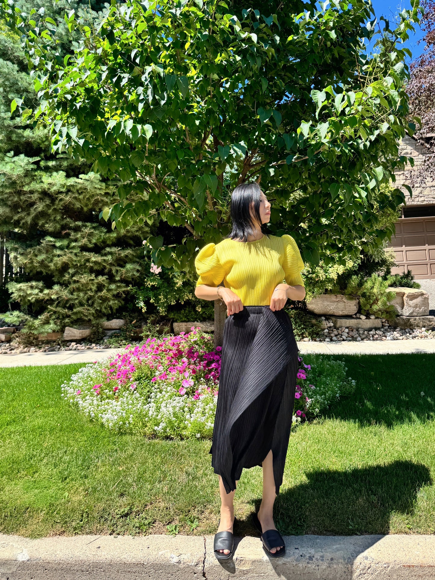 Pleats puff sleeves   (pink,yellow,black)