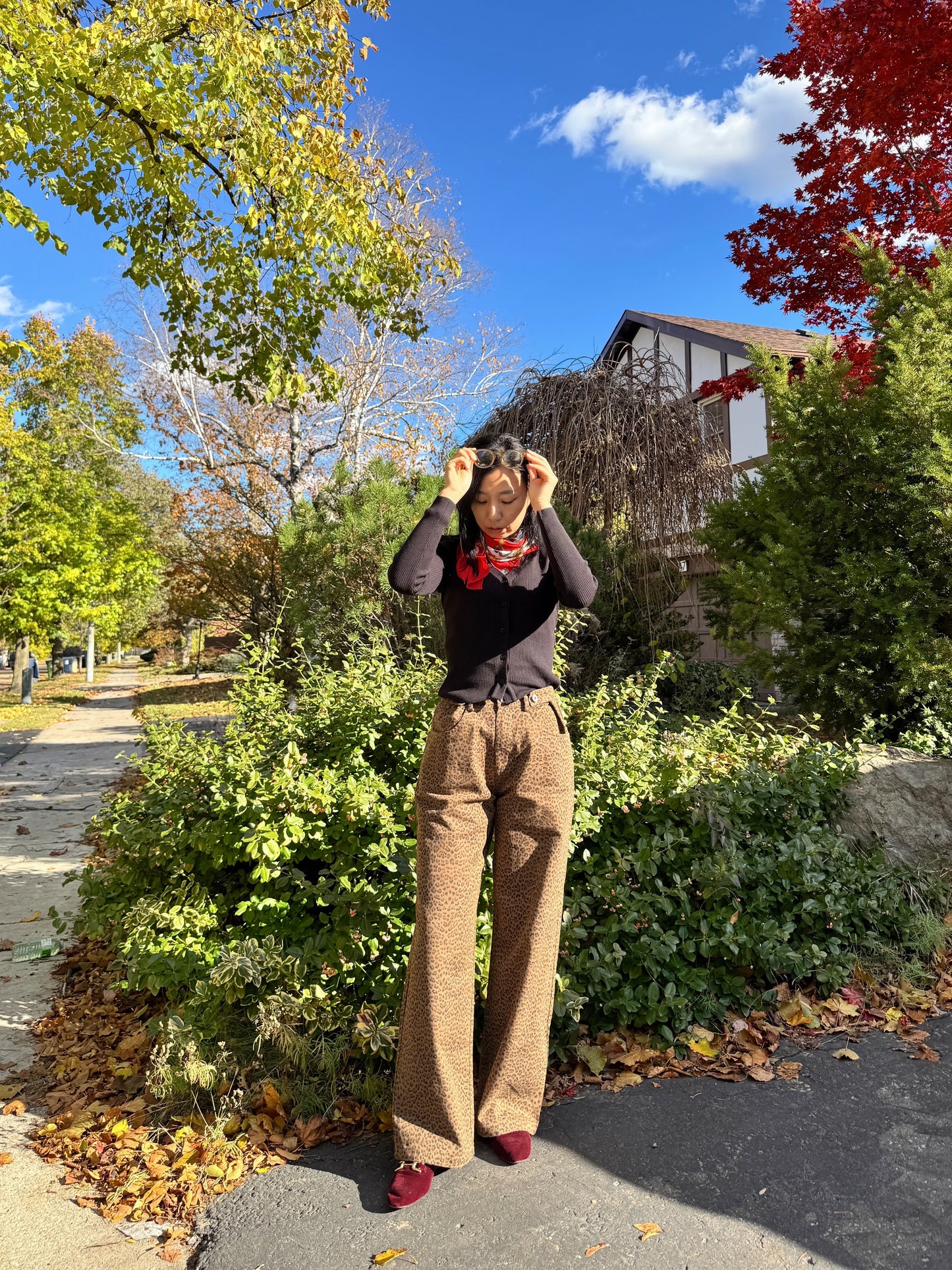 vintage animal print pants (beige,brown)