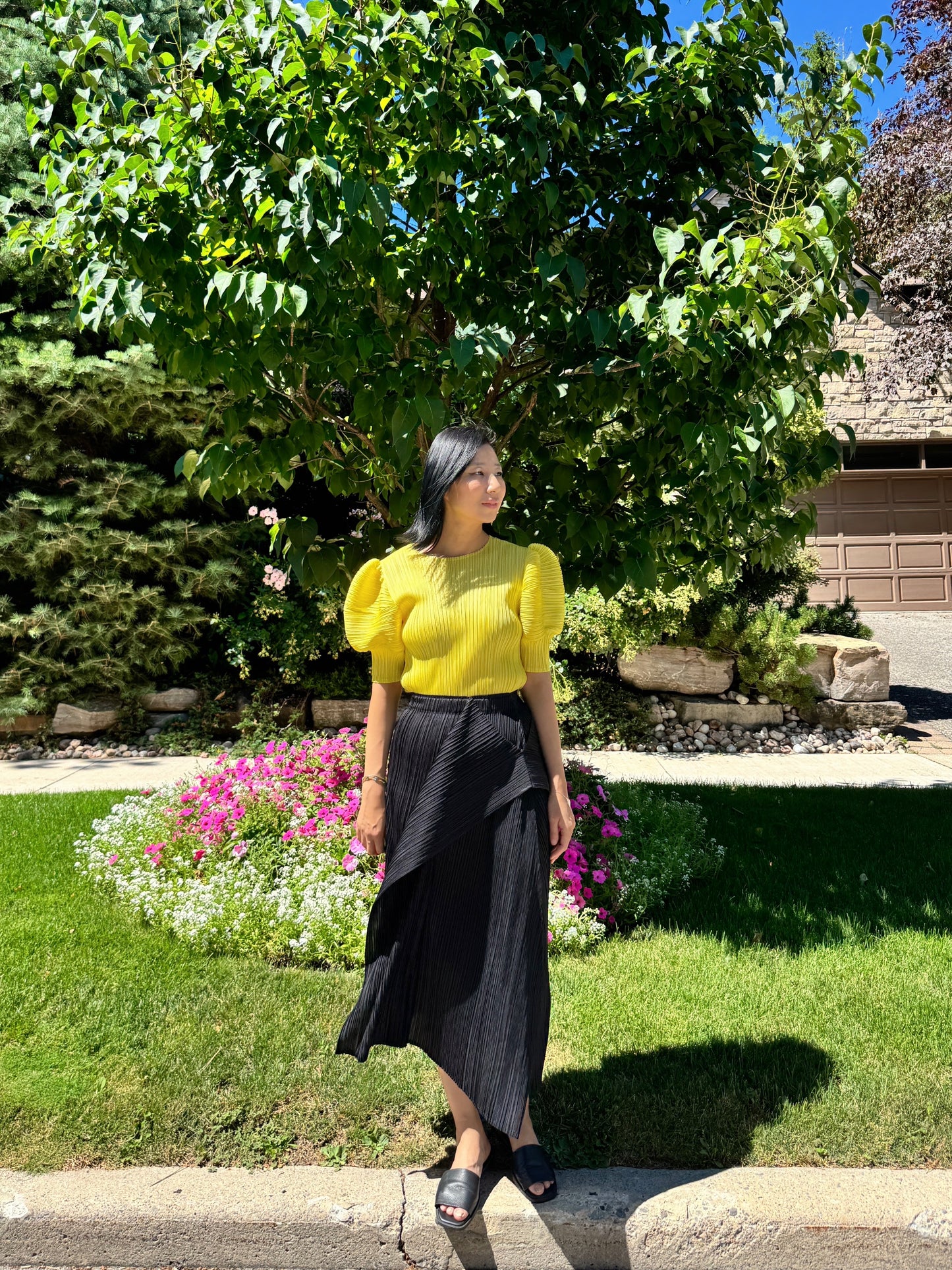 Pleats puff sleeves   (pink,yellow,black)