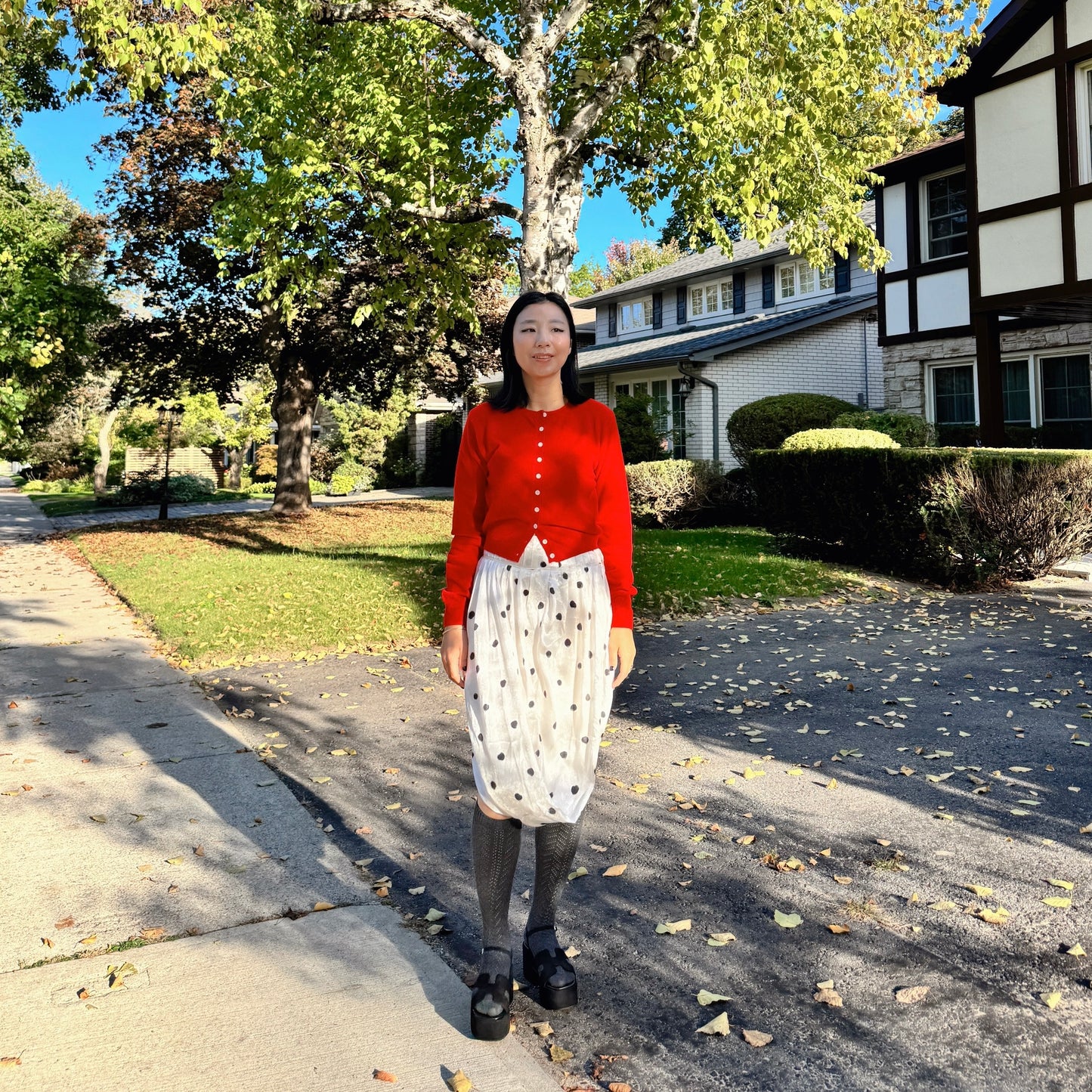 Merino Wool Cardigan (red, gray, pink)