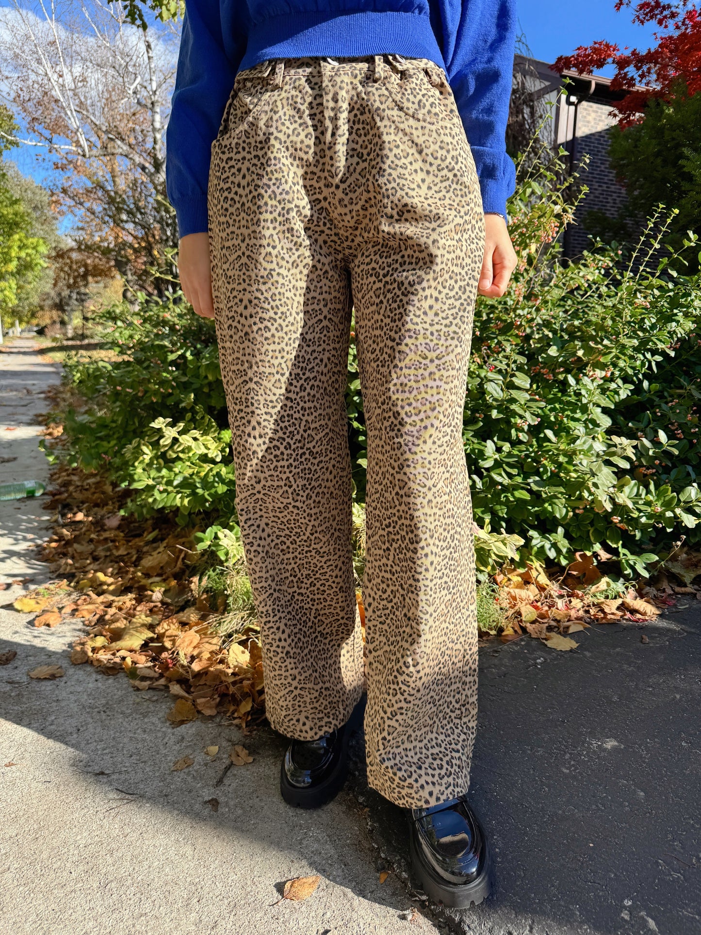 vintage animal print pants (beige,brown)