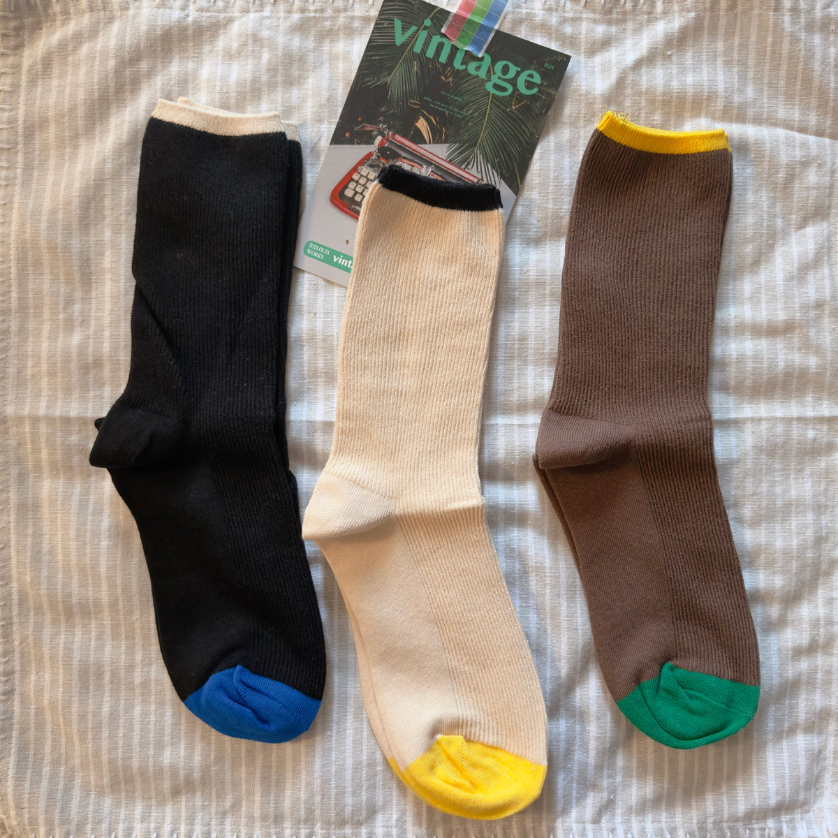 COLOR BLOCK RIBBED SOCK (Black,Ivory,Brown)