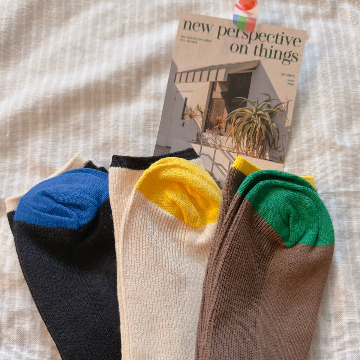 COLOR BLOCK RIBBED SOCK (Black,Ivory,Brown)