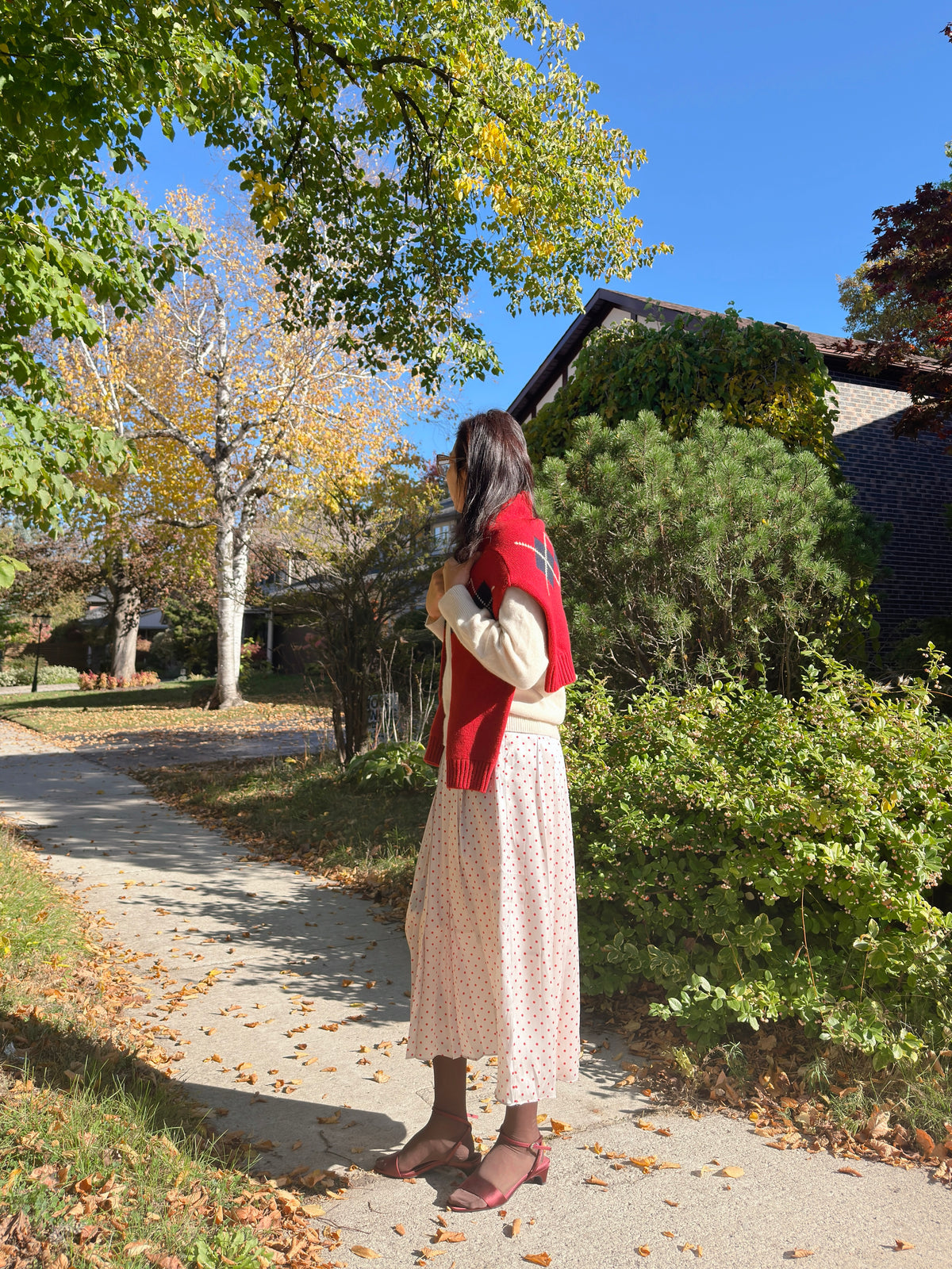 POLKA DOT PLEATS SKIRT(black, brown,red)