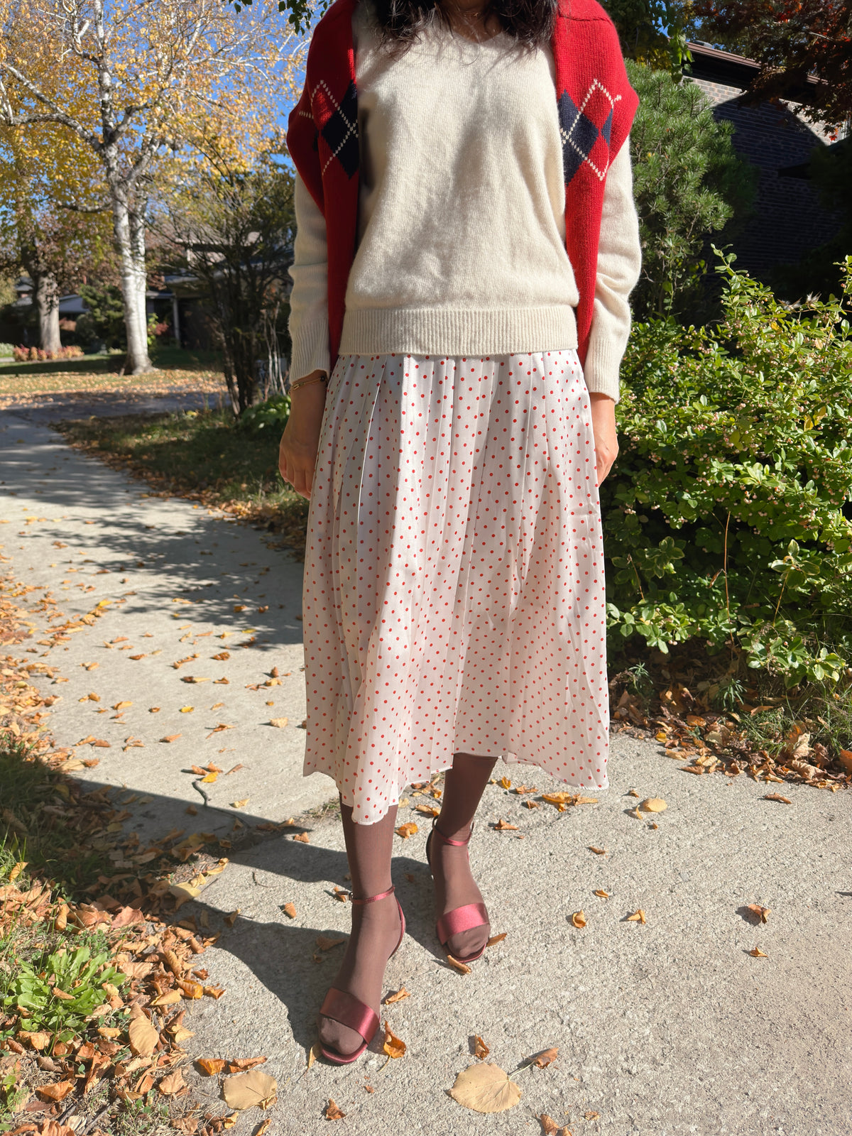 POLKA DOT PLEATS SKIRT(black, brown,red)
