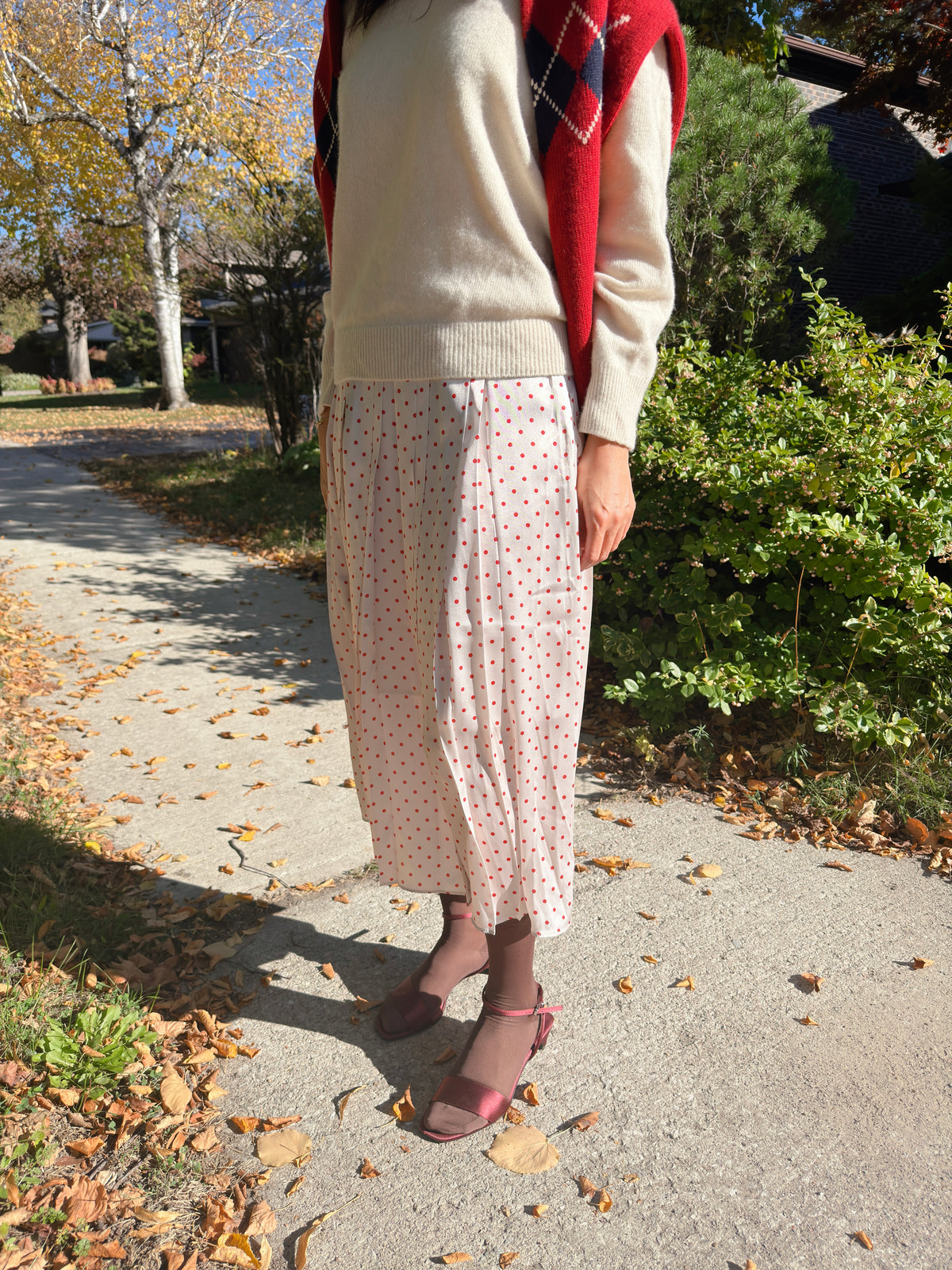POLKA DOT PLEATS SKIRT(black, brown,red)