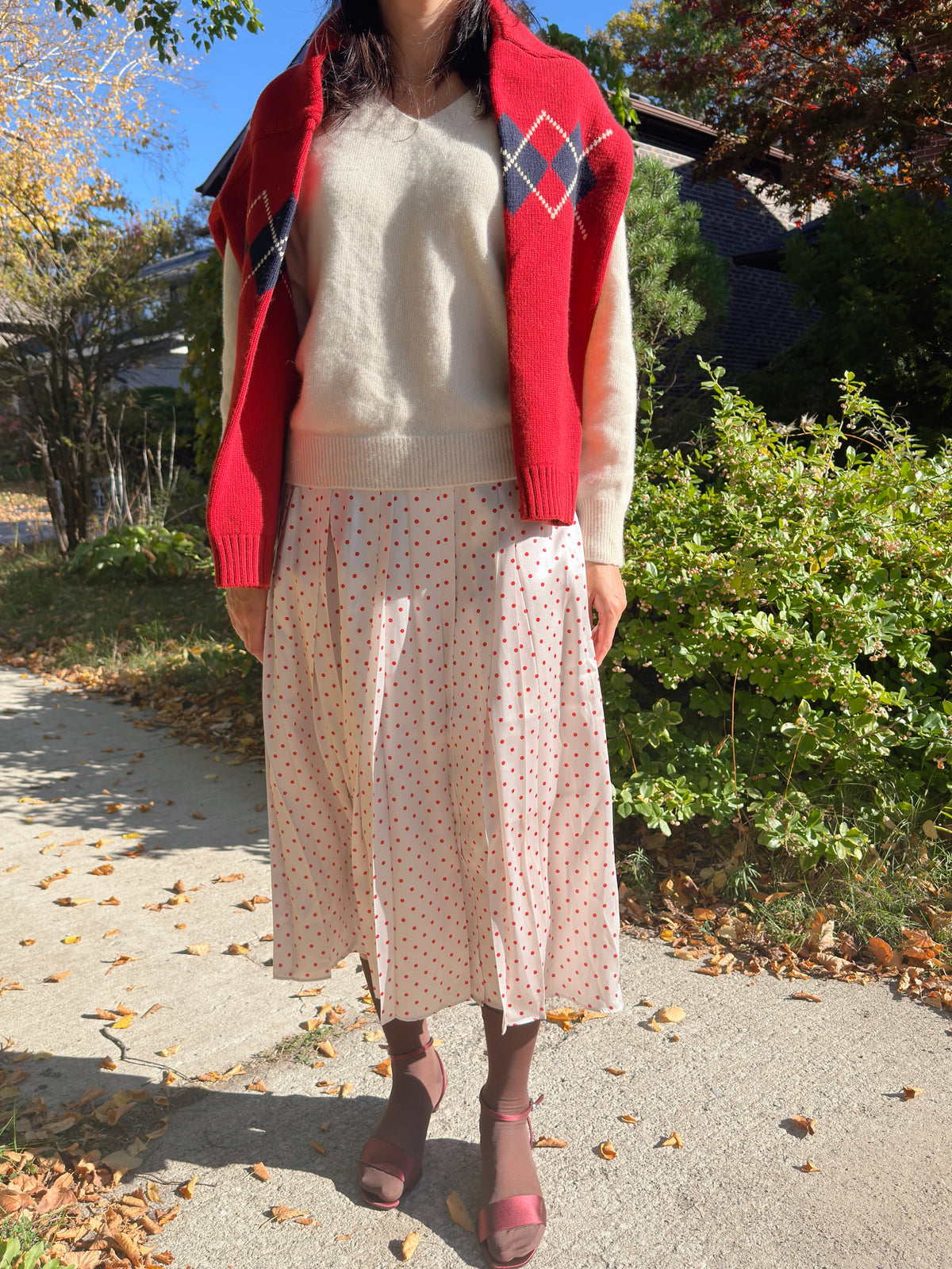 POLKA DOT PLEATS SKIRT(black, brown,red)