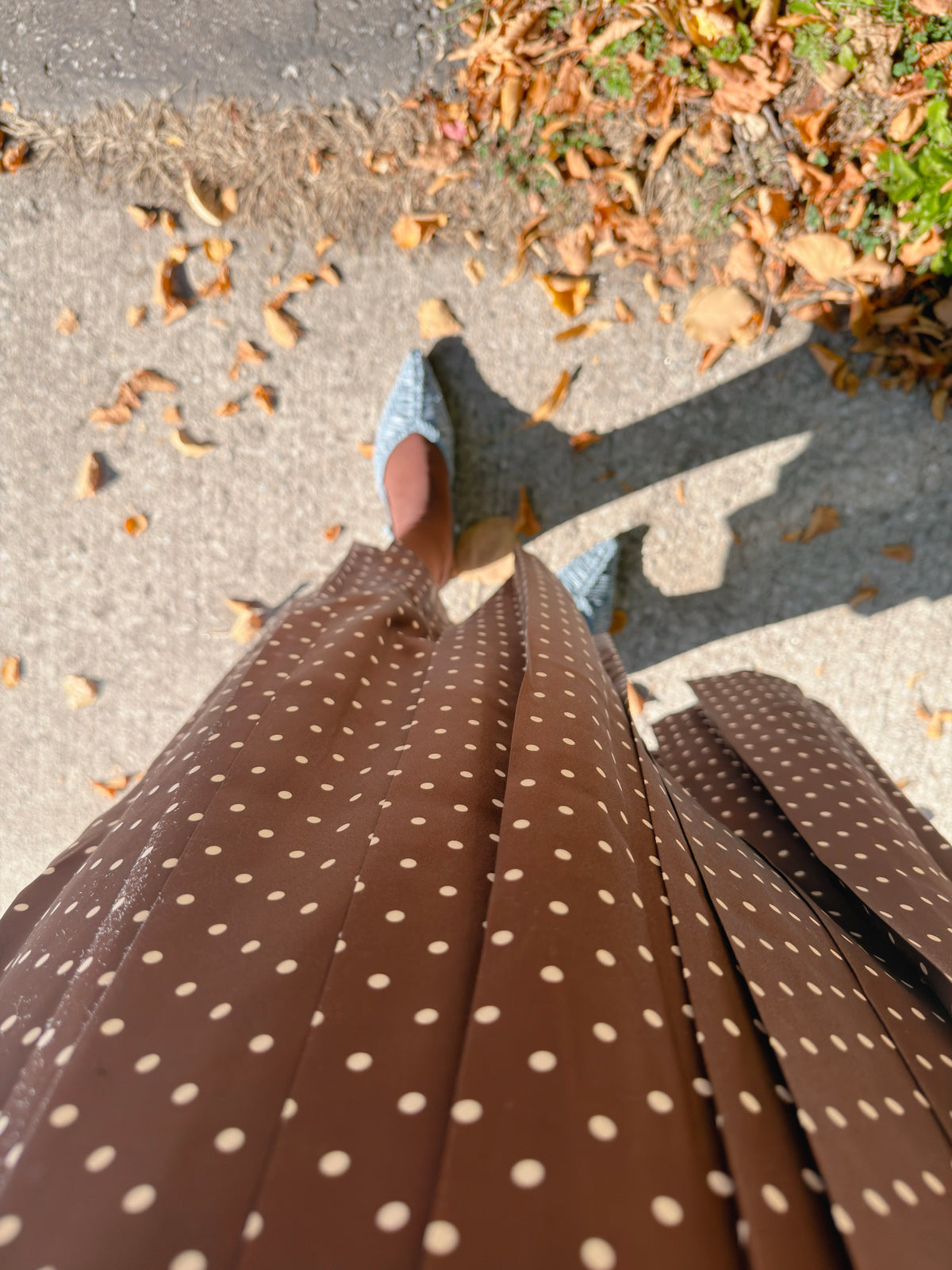 POLKA DOT PLEATS SKIRT(black, brown,red)