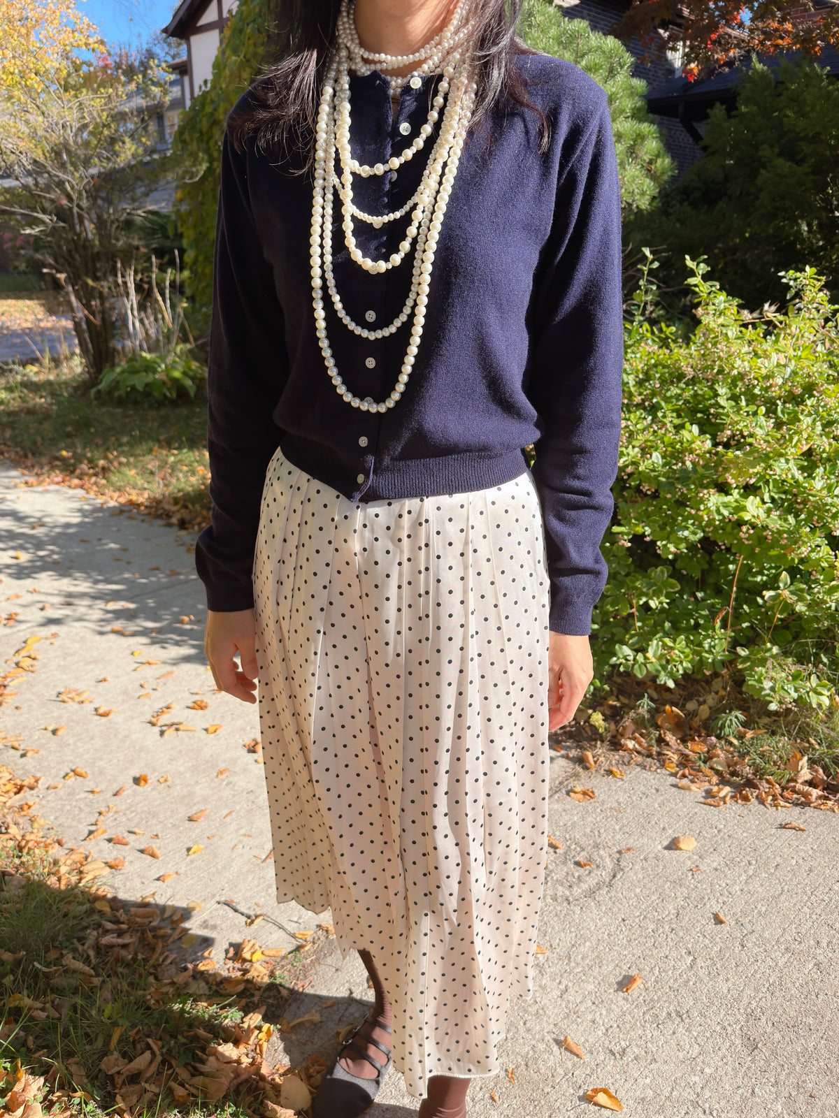 POLKA DOT PLEATS SKIRT(black, brown,red)
