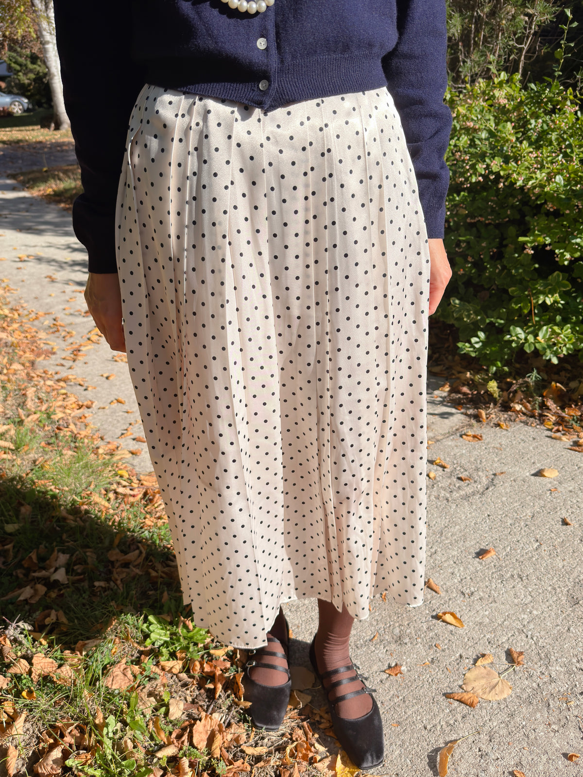 POLKA DOT PLEATS SKIRT(black, brown,red)