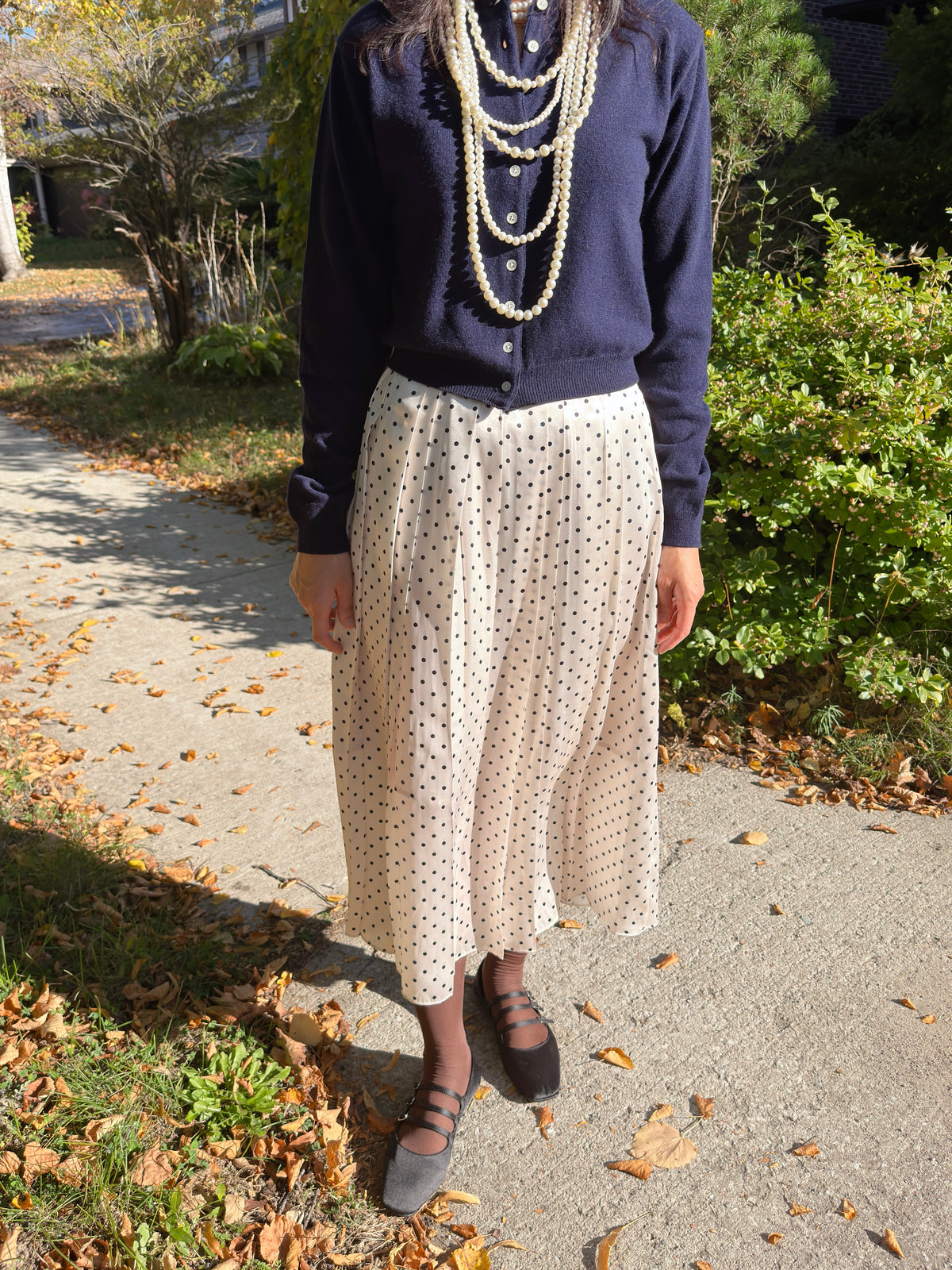 POLKA DOT PLEATS SKIRT(black, brown,red)